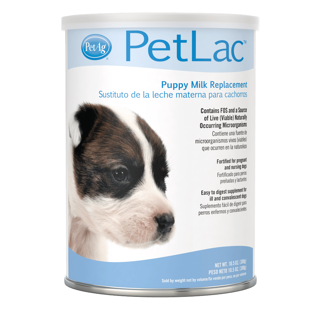 son las perras más difíciles de albergar