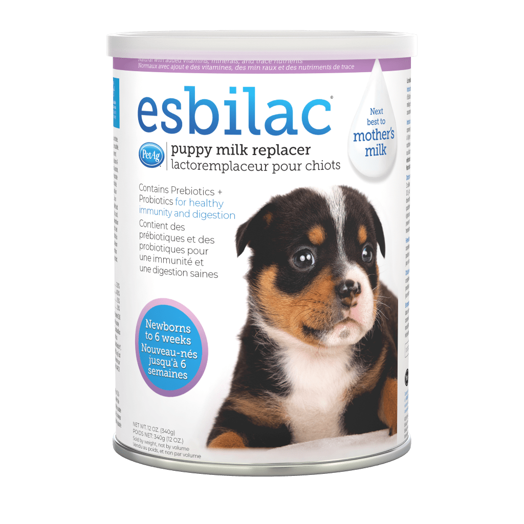 la leche de vaca es buena para los perros