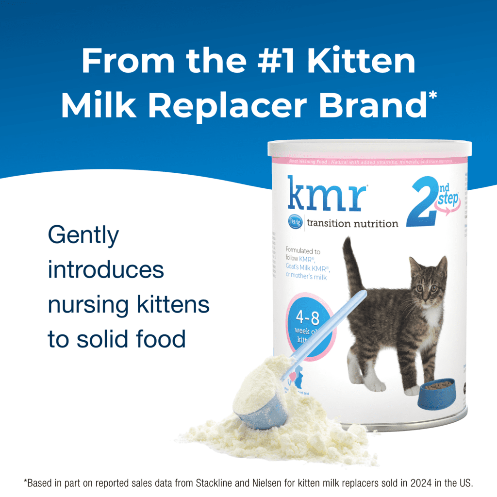 KMR® 2nd Step™ Kitten Weaning Food | PetAg