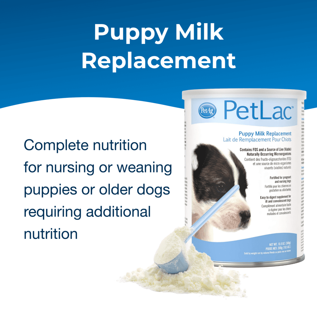se le puede dar leche a un cachorro de 6 semanas