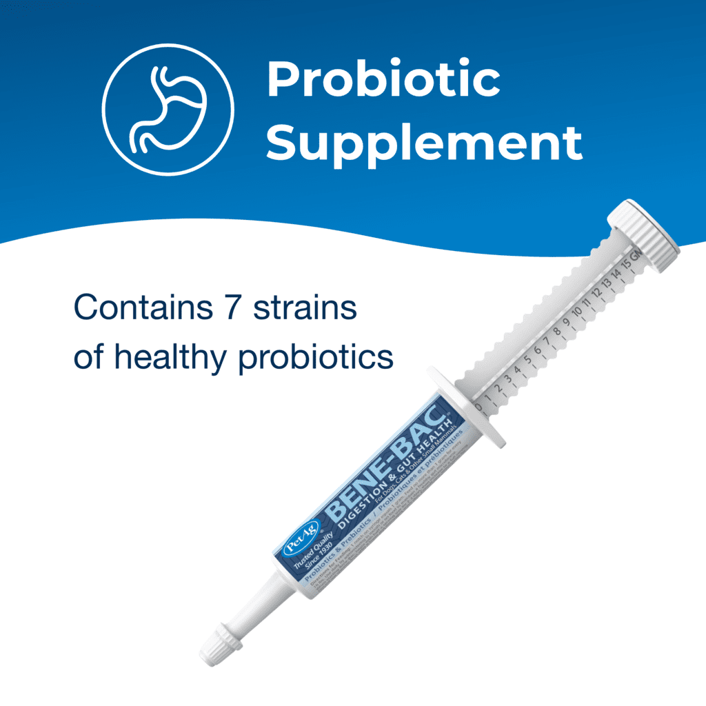 Bene-Bac® Gel | PetAg