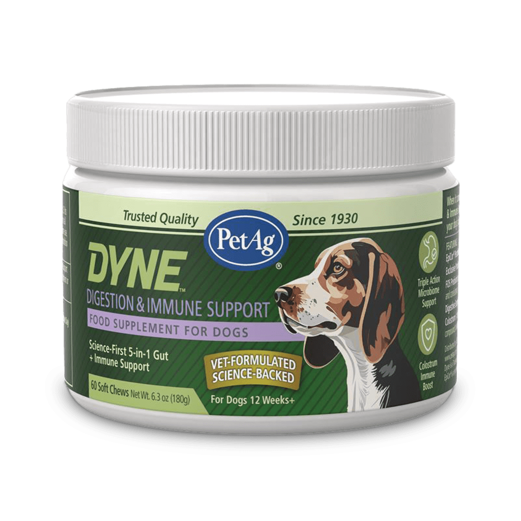 DYNE™ Digestion & Immune Support