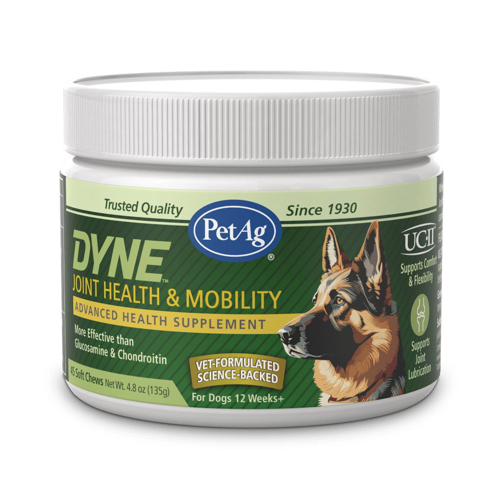 Dyne Joint & Mobility Soft Chews