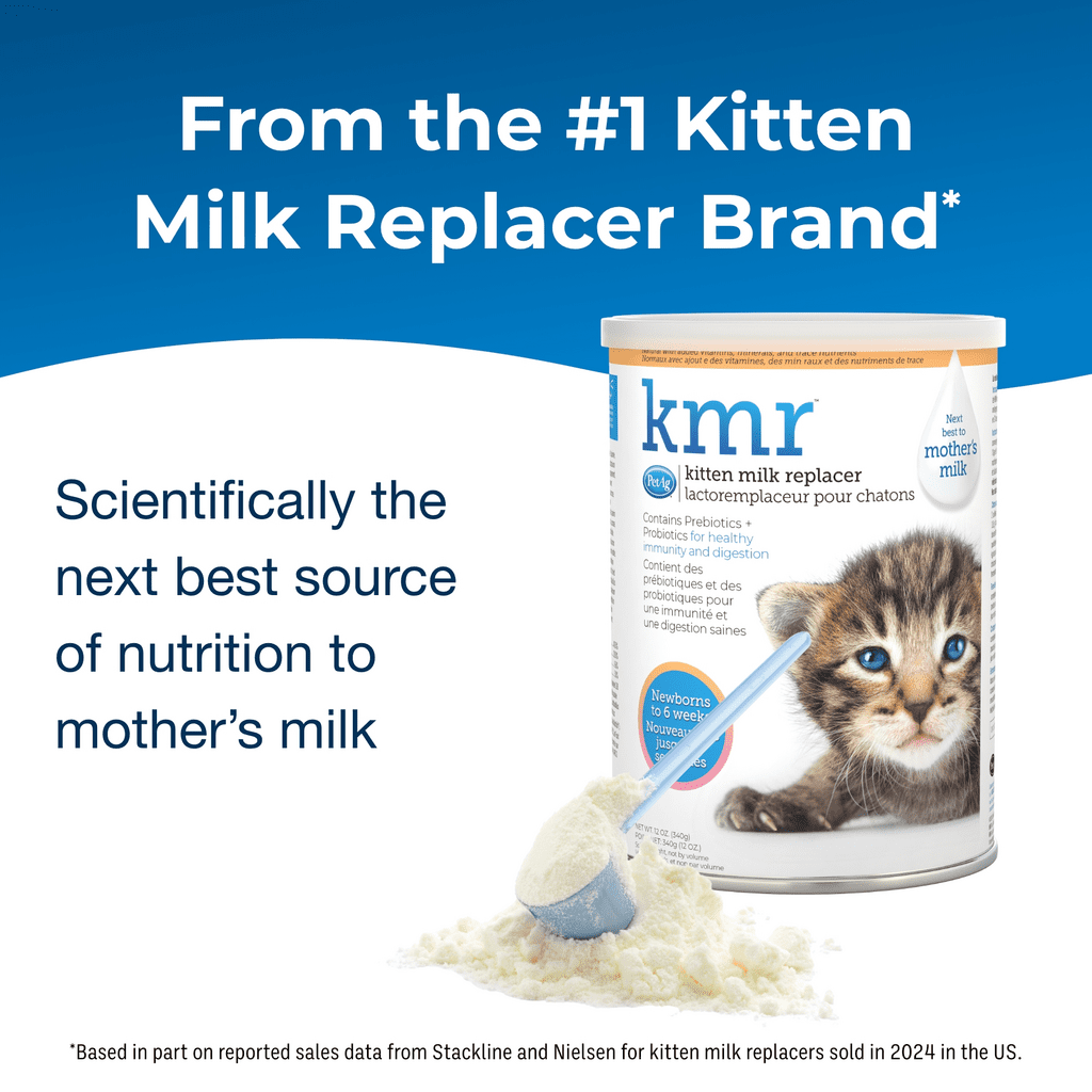 KMR® Kitten Milk Replacer Powder | PetAg