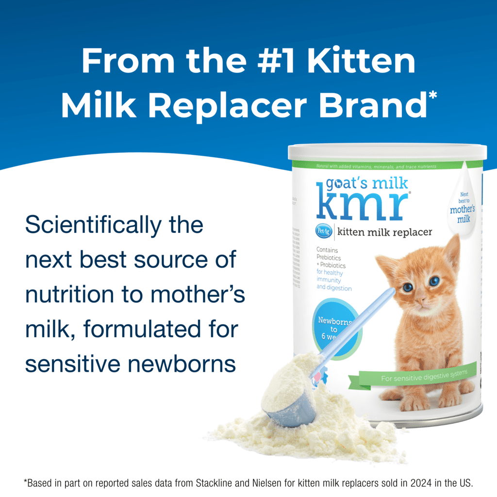 Goat's Milk KMR® Kitten Milk Replacer Powder | PetAg