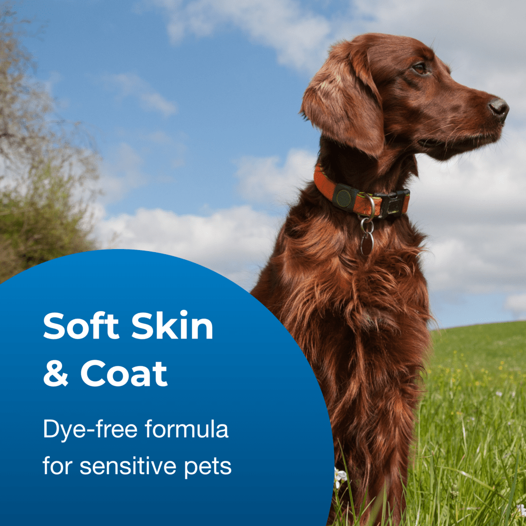 Fresh 'n Clean® 2-N-1 Conditioning Shampoo - Baby Powder Scent | PetAg