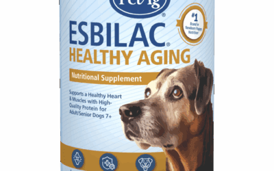 5 Ways Esbilac® Healthy Aging Helps Support Senior Dogs