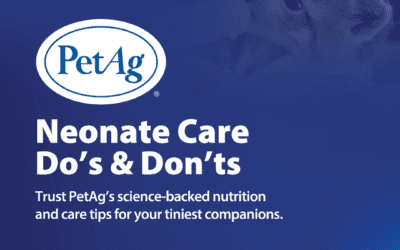 Neonate Care: Do’s & Don’ts